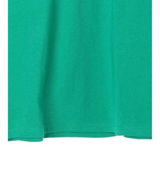 Green Parks ＥＧＯＩＳＴ　袖ロゴラインプルオーバー Green