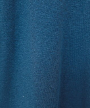 AMERICAN HOLIC ロゴ入りヴィンテージ半袖プルオーバー Blue