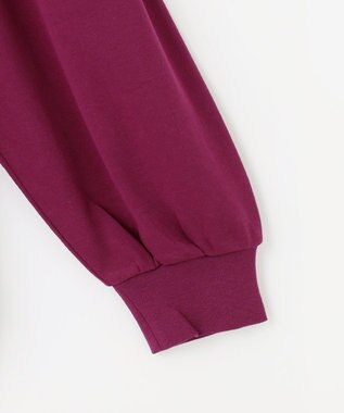 ANY プレミアム モックネック長袖Tシャツ ワイン系