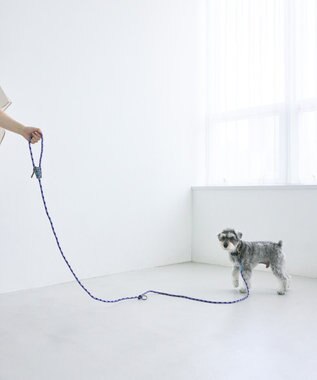 COQ HAPPY ARGYLE  ハンズフリーロングドッグリード パープル