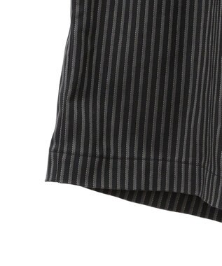 Green Parks ・ＥＬＥＮＣＡＲＥ　ＤＵＥ　ハーフパンツ Stripe