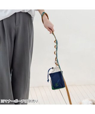 PET PARADISE ペットパラダイス チェック柄 リード ＳＭ 中型犬 グリーン