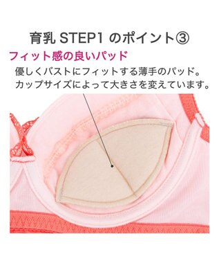 BRADELIS New York 【BRADELIS New York / 育乳補整ブラ・STEP1 集める】ウェンディステップ1ブラ25S1 オレンジ
