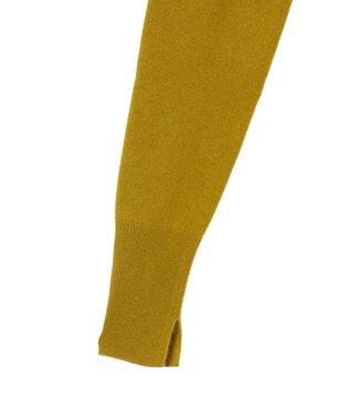 JOSEPH 【洗える】ライトピュアカシミヤハイネックニット Amber