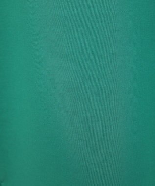 AMERICAN HOLIC ハーフＺＩＰポンチプルオーバー Green