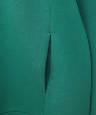 AMERICAN HOLIC ハーフＺＩＰポンチプルオーバー Green