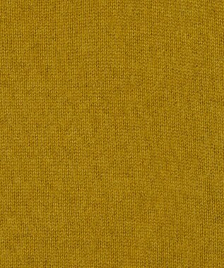 JOSEPH 【洗える】ライトピュアカシミヤハイネックニット Amber