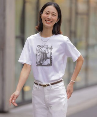 J.PRESS LADIES プリント Ｔシャツ