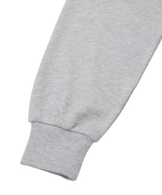 Green Parks １０１匹わんちゃん／クルエラオフショルスウェット Gray Mixture