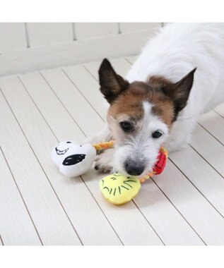 PET PARADISE スヌーピー お友達 ロープ トイ レッド