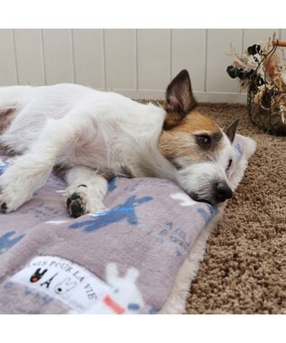 PET PARADISE リサとガスパール 遠赤外線 ボアマット 《 であい柄 》 (80×60cm) であい柄