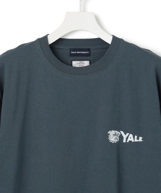 J.PRESS YORK STREET 【UNISEX】YALEペナント Tシャツ ダルブルー系