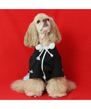 PET PARADISE ペットパラダイス 金糸紋付き袴 中型犬 大型犬 黒