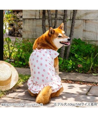 PET PARADISE ペットパラダイス タッチワンクールプラス Tシャツ 《いちご》 中型犬 大型犬 ホワイト×ピンク