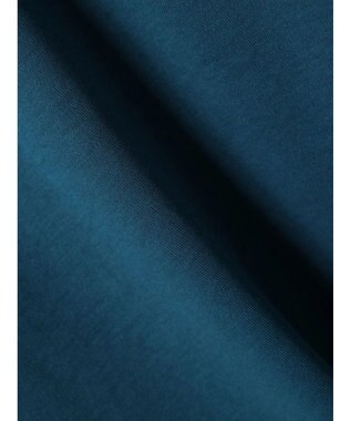 AMERICAN HOLIC 抗菌防臭＋接触冷感クルーネックカットプルオーバー Blue Green