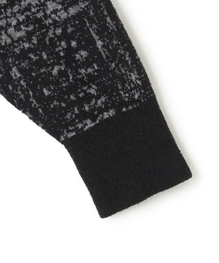 JOSEPH HOMME 【HIGH GRADE LINE】クレストブークレジャガード　クルーネックニット ブラック系