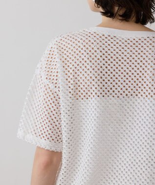 GRACE CONTINENTAL クラッシュロゴTシャツ ホワイト