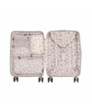 ACE BAGS & LUGGAGE HaNT ヘイヘイTR スーツケース 40L 機内持込  05180 ハント モーヴグレー