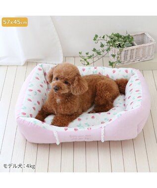 PET PARADISE ペットパラダイス クールカドラー 角型《いちご＆お花柄》 小型犬 いちご＆お花柄