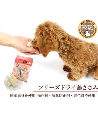 PET PARADISE 鶏ささみフリーズドライ 大袋 55g 国産 -