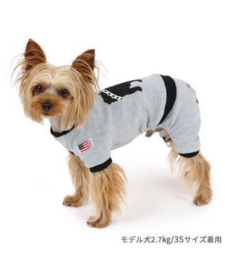 PET PARADISE J.PRESS バックブルロンパース 小型犬 グレー