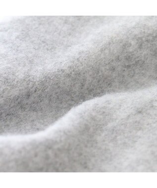 PET PARADISE J.PRESS バックブルロンパース 小型犬 グレー