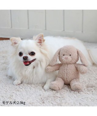 PET PARADISE ペットパラダイス うさちゃんトイ【小型犬】 うさぎ
