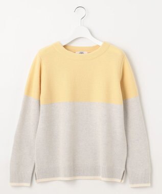 J.PRESS LADIES 【WEB限定カラーあり・洗える】CAT ボートネック ブロッキング ニット 【WEB限定】イエローボーダー系