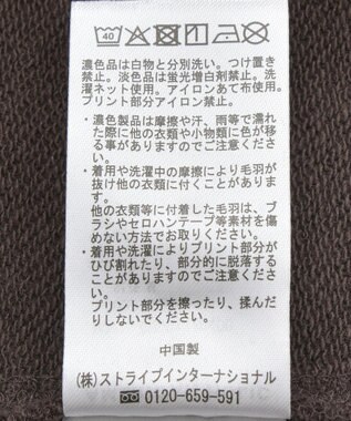 AMERICAN HOLIC 【WEB限定】BRUNSWICK GEORGIA BIGスウェット Brown