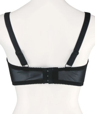 San-ai Resort（三愛水着楽園） 【エレガントコレクション2404】単品ブラHIカップ  【northerly】 ブラック