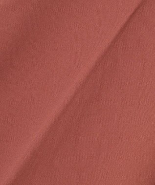 ANY L 【ウエストゴム/リントラク加工/裏起毛/ストレッチ】シークレットウォーム　ワイドパンツ テラコッタ