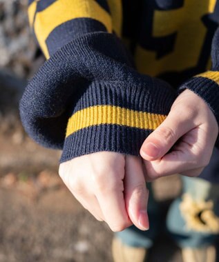 WEGO ナンバリングジャガードVネックニット ネイビー