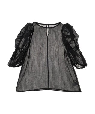 Green Parks ・ＡＮＤ　ＳＥＡＲＣＨ　シアーパワーショルダーブラウス Black