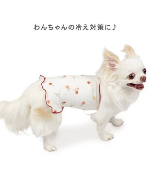 PET PARADISE ペットパラダイス ペティヒート 天竺 腹巻 《いちご柄》 小型犬 ホワイト