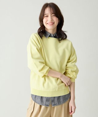 ANY スプリングカラーニットドルマンプルオーバー イエロー