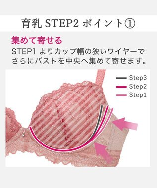 BRADELIS New York 【BRADELIS New York/ 育乳補整ブラ・STEP2 寄せる】ベルステップ2ブラ25A1 谷間を作ってキープ テラコッタ