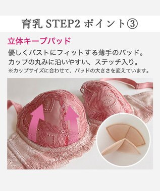 BRADELIS New York 【BRADELIS New York/ 育乳補整ブラ・STEP2 寄せる】ベルステップ2ブラ25A1 谷間を作ってキープ テラコッタ