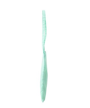 CRAFT STANDARD BOUTIQUE クラフトロゴトートバック Light Green