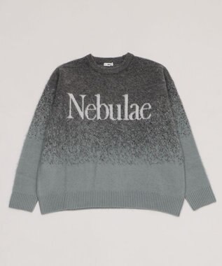 WEGO 【ユニセックス着用ITEM/MLサイズ展開】ファジーグラデーションプルオーバー グレー
