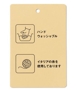 ANY L 【手洗い可】イタリーヤーンウールカシミヤミックスプルオーバー ミント