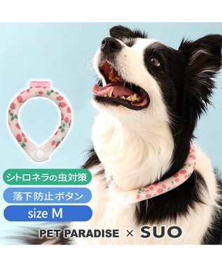  ペットパラダイス 28℃クールリング SUO 《いちご柄》 〔Ｍ〕 中型犬