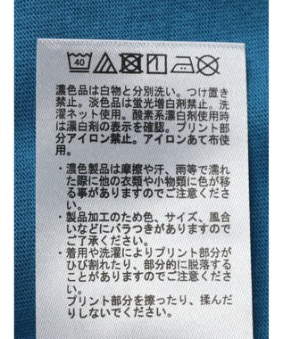 AMERICAN HOLIC ＰＯＲＴＬＡＮＤロゴカットプルオーバー Blue