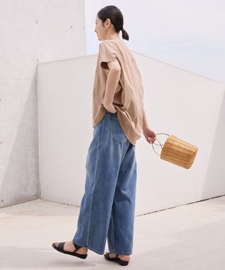 AMERICAN HOLIC フレンチスリーブ後切替プルオーバー Beige