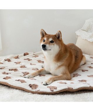 PET PARADISE ペットパラダイス くまちゃん 遠赤外線ボア 丸マット （105cm）M オフホワイト