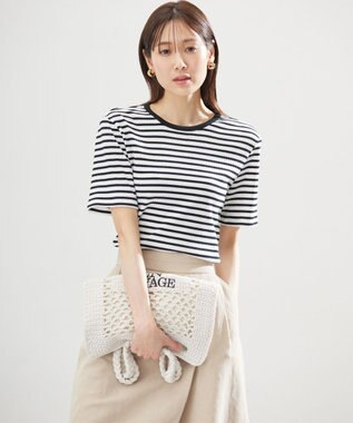 組曲 S ベーシックリブ Tシャツ ボーダー系1