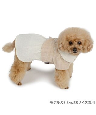 PET PARADISE ペットパラダイス カーディガン ワンピース 小型犬 ベージュ×ホワイト