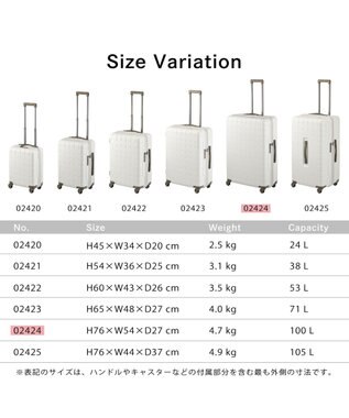 ACE BAGS & LUGGAGE Proteca 360G4 スーツケース 日本製 100L 02424 プロテカ ウォームグレー