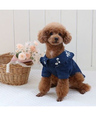 PET PARADISE ペットパラダイス 刺繍BIG襟 ジャケット 小型犬 ネイビー