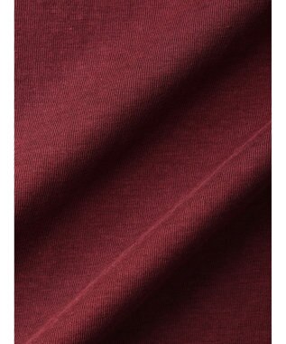 earth music&ecology フロントフリルプルオーバー Bordeaux