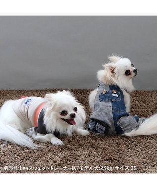 PET PARADISE Ｌｅｅ パッチワーク オーバーオール パンツつなぎ【小型犬】 紺（ネイビー・インディゴ）